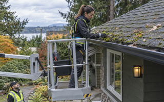 Woman inspecting moss on roof shingles from a secured ladder before treatment
