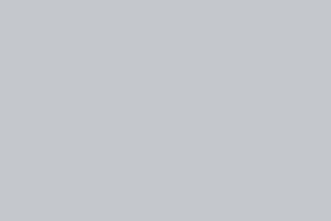 Color Paste Grey 105 Polyester - 500ml