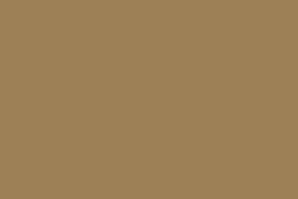 Color Paste Herbs Brown 115 Polyester - 60ml