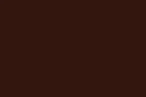 Color Paste Chocolate Brown 117 Polyester - 500ml
