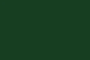Color Paste Forest Green 151 Polyester - 60ml