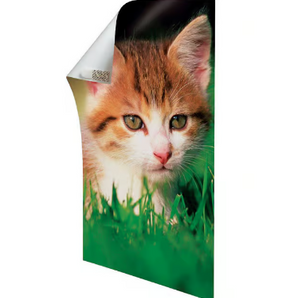 3M Command Poster Strips 48pk 1702448Es