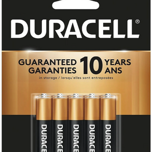 Duracell 10-Pack AAA Batteries