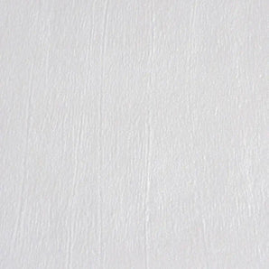 Enviro Epoxy Metallic White Emp5009