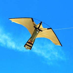Peregrine Pro Hawk Kite