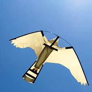 Peregrine Pro Hawk Kite