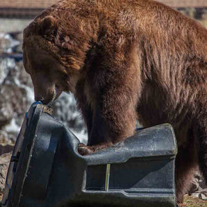 Toter Bear Tough Fortified Carts 64 Gallon